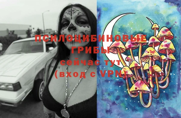 амфетамин Новодвинск