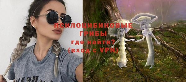 ГАЛЛЮЦИНОГЕННЫЕ ГРИБЫ Нефтегорск