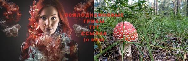 ECSTASY Новозыбков