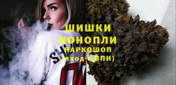 ECSTASY Новозыбков