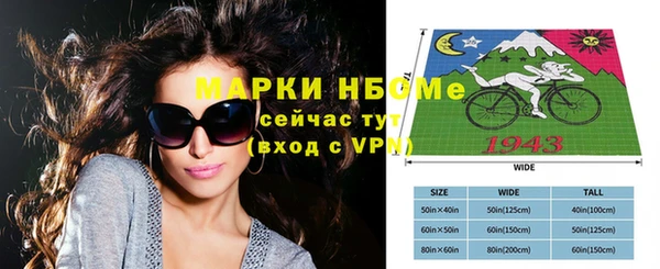 ECSTASY Новозыбков