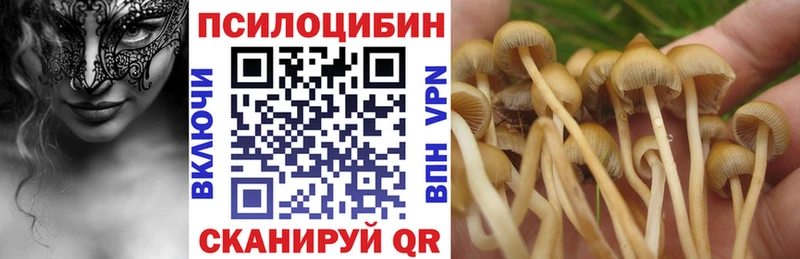 Галлюциногенные грибы Cubensis  продажа наркотиков  Краснообск 